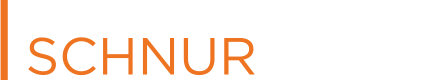 schnur-consulting-group-logo